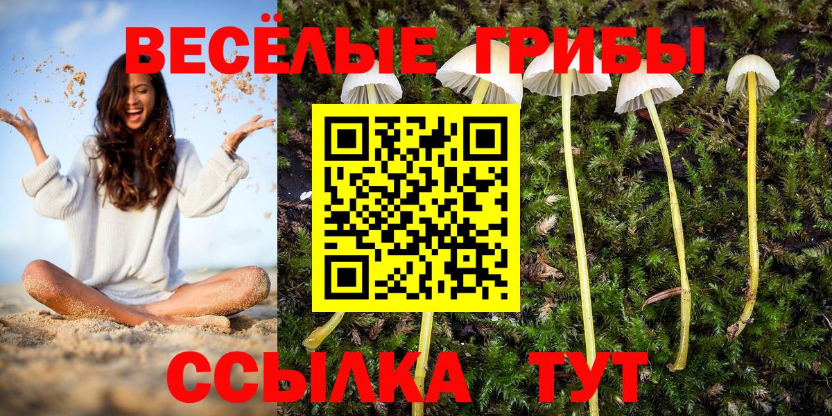 Галлюциногенные грибы Psilocybe Старая Купавна